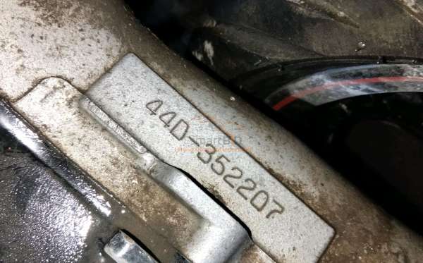 YAMAHA XEON