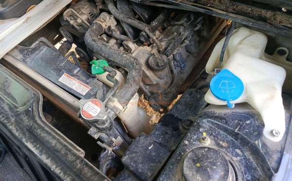 SUZUKI  CARRY  PU