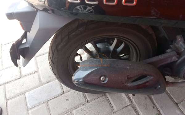 HONDA SCOOPY