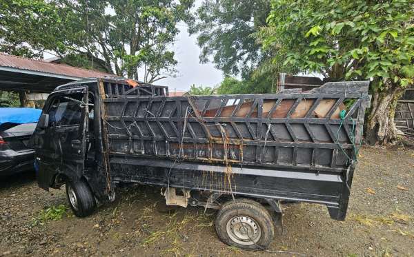 SUZUKI  CARRY  PU
