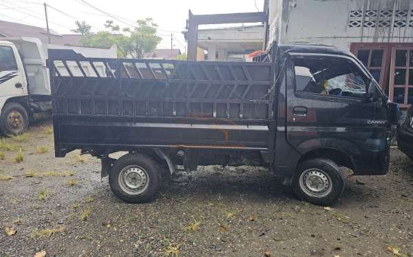 SUZUKI  CARRY  PU