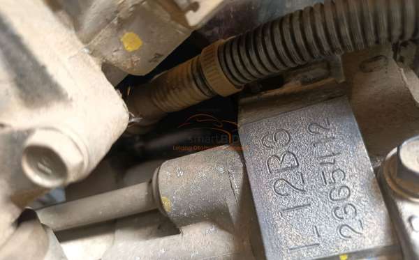 HONDA BRIO