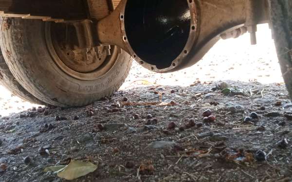 MITSUBISHI COLT DIESEL FE74HDV (4X2) M/T
