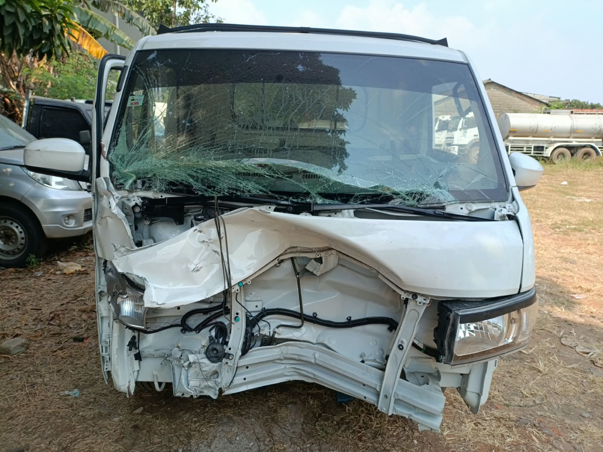 SUZUKI  CARRY  PU