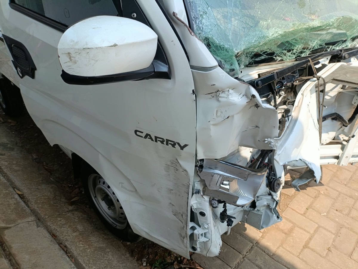 SUZUKI  CARRY  PU