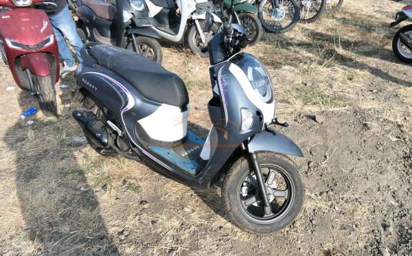 HONDA  SCOOPY