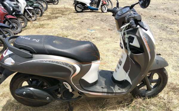 HONDA  SCOOPY