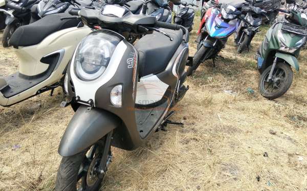 HONDA  SCOOPY
