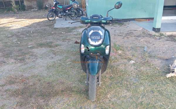 HONDA SCOOPY