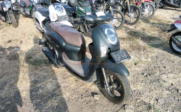 HONDA  SCOOPY