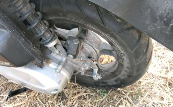 HONDA  SCOOPY