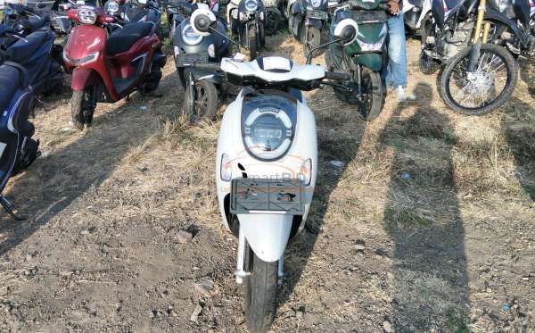 HONDA  SCOOPY