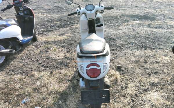 HONDA  SCOOPY