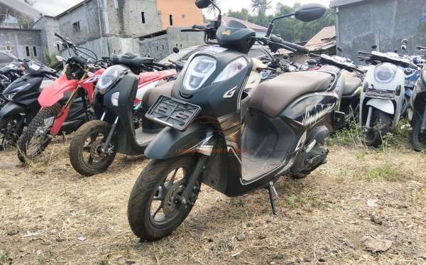 HONDA  GENIO
