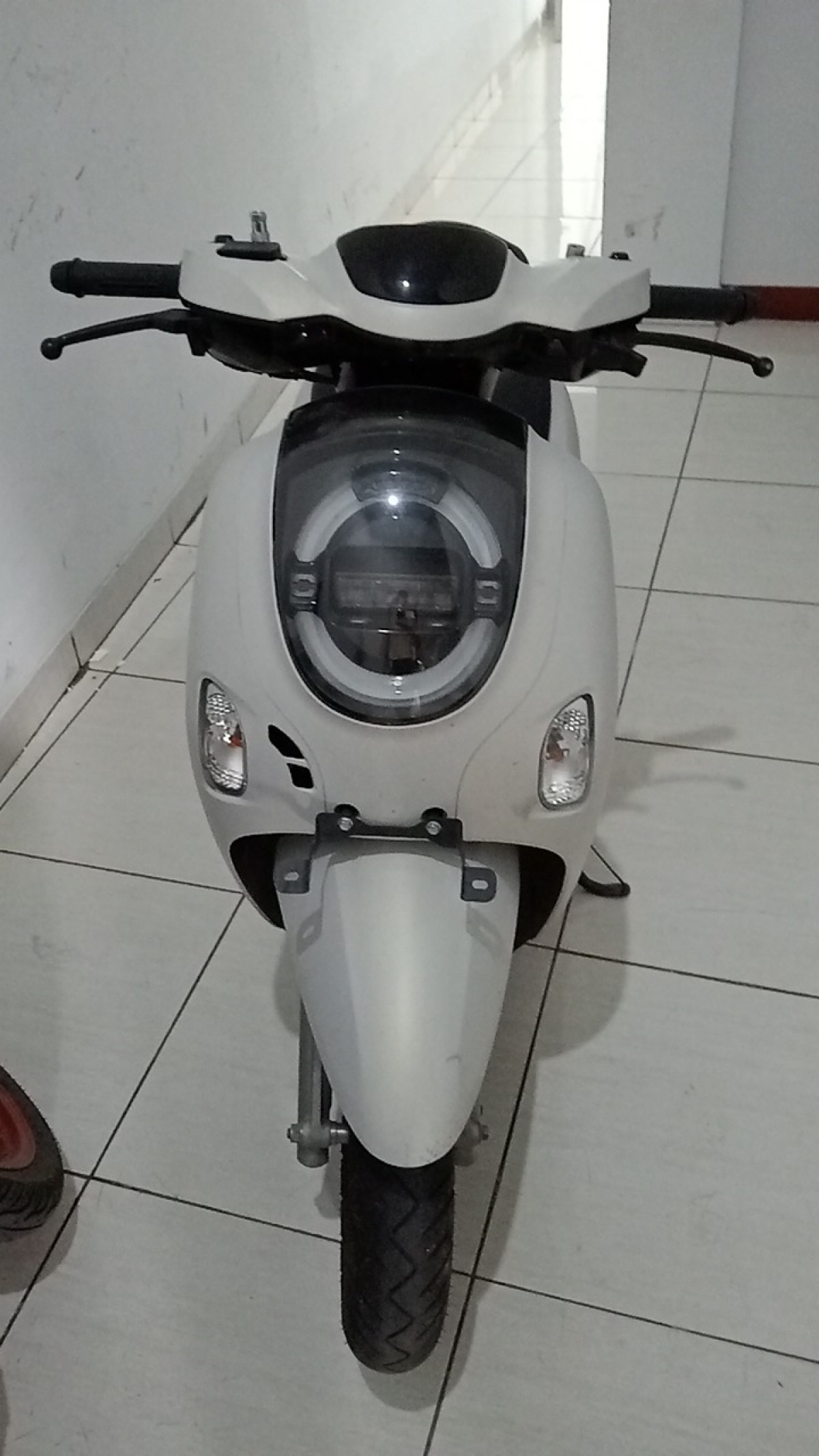 HONDA SCOOPY PRESTIGE