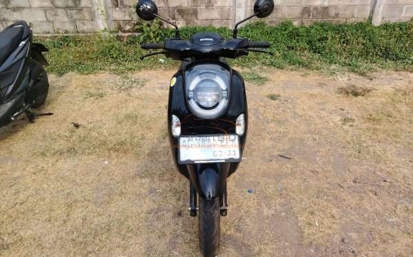 HONDA  SCOOPY