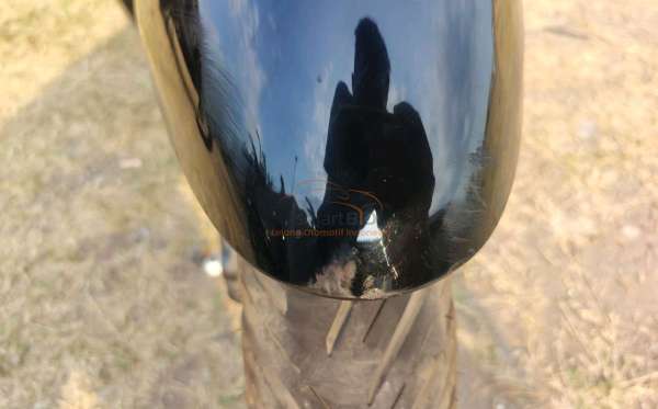 HONDA  SCOOPY