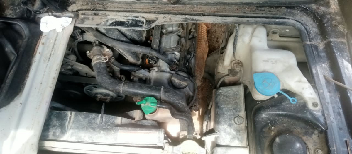 SUZUKI CARRY  PU