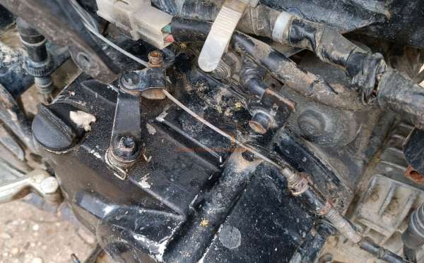 HONDA NEW REVO FI FIT
