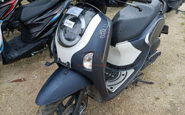 HONDA NEW SCOOPY FASHION