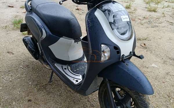 HONDA NEW SCOOPY FASHION