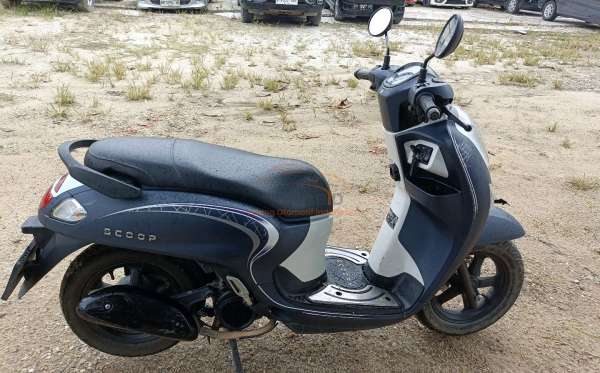 HONDA NEW SCOOPY FASHION