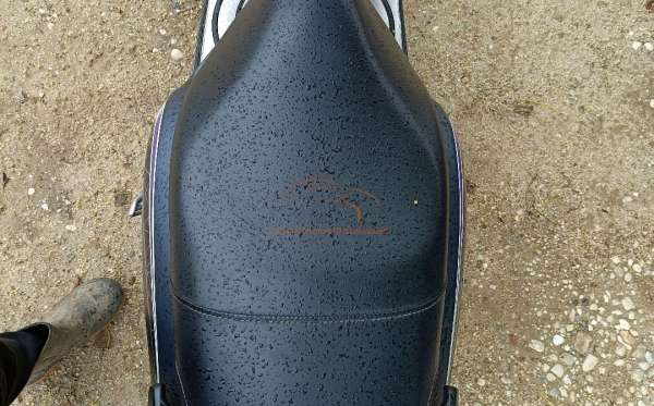 HONDA NEW SCOOPY FASHION