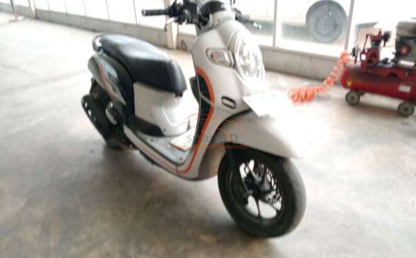 HONDA SCOOPY CW