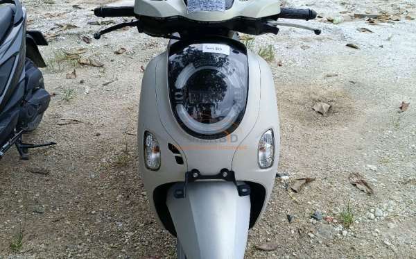 HONDA SCOOPY PRESTIGE