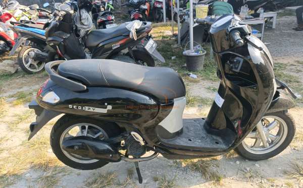 HONDA  SCOOPY