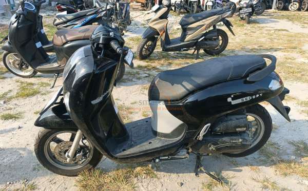 HONDA  SCOOPY