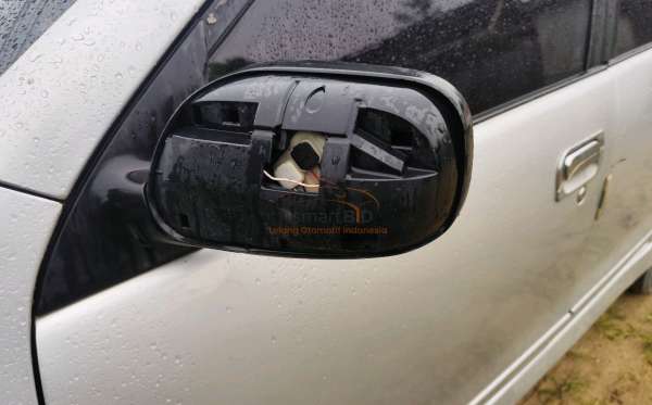 TOYOTA AVANZA