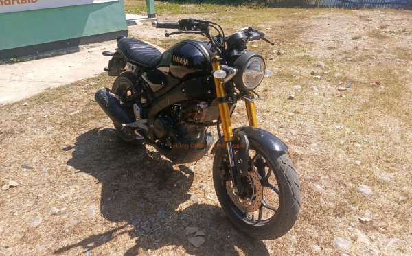 YAMAHA XSR 155