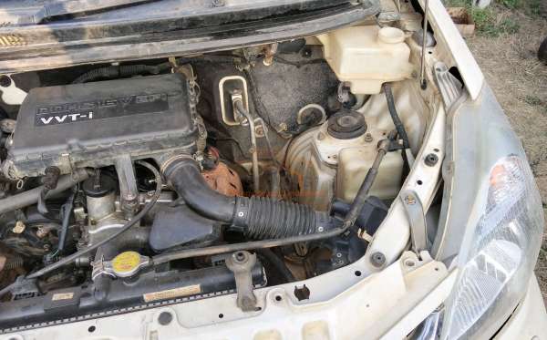 DAIHATSU  XENIA