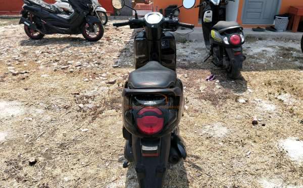 HONDA SCOOPY