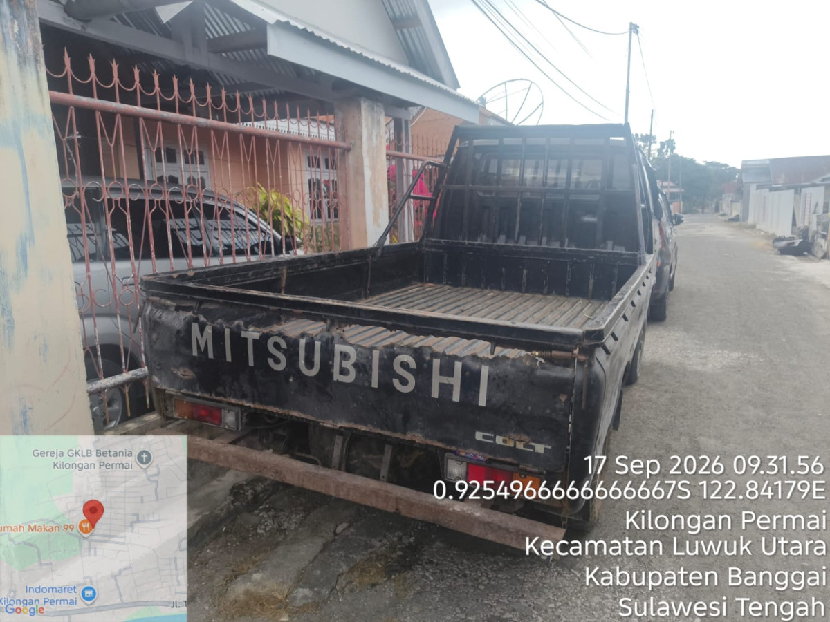 MITSUBISHI L 300  PU
