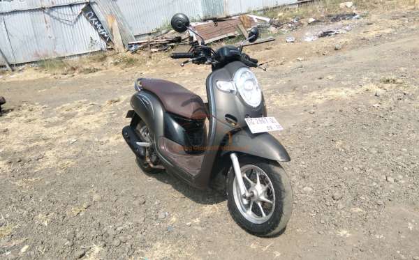 HONDA SCOOPY STYLISH