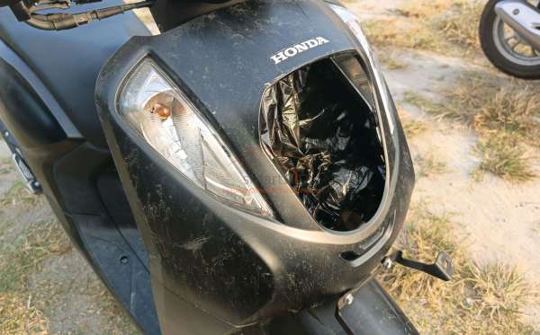 HONDA GENIO CBS