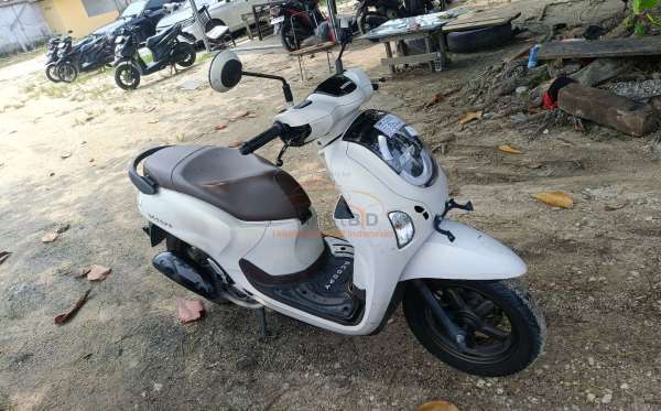 HONDA SCOOPY PRESTIGE