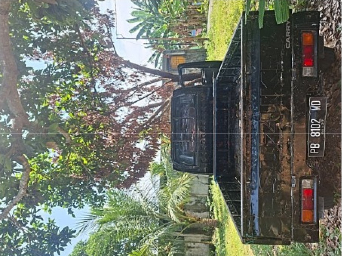 SUZUKI CARRY  PU