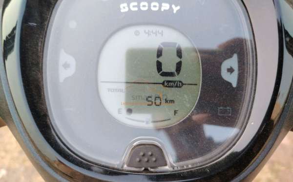 HONDA  SCOOPY