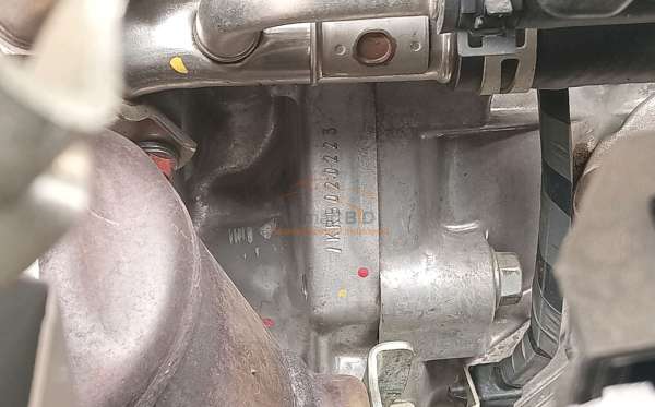 DAIHATSU SIGRA D