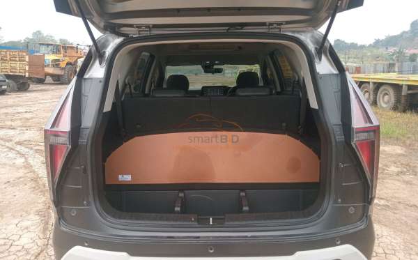 HYUNDAI STARGAZER