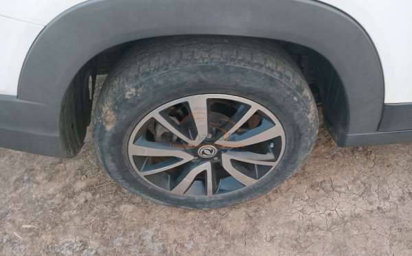 SOKON 560