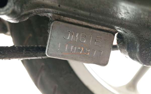 HONDA GENIO