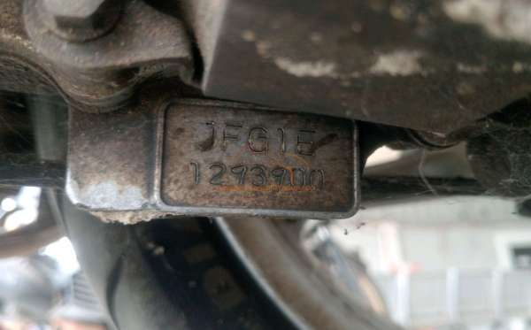 HONDA SCOOPY