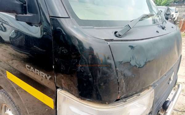 SUZUKI CARRY PU