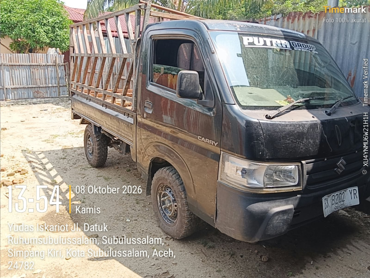 SUZUKI CARRY  PU
