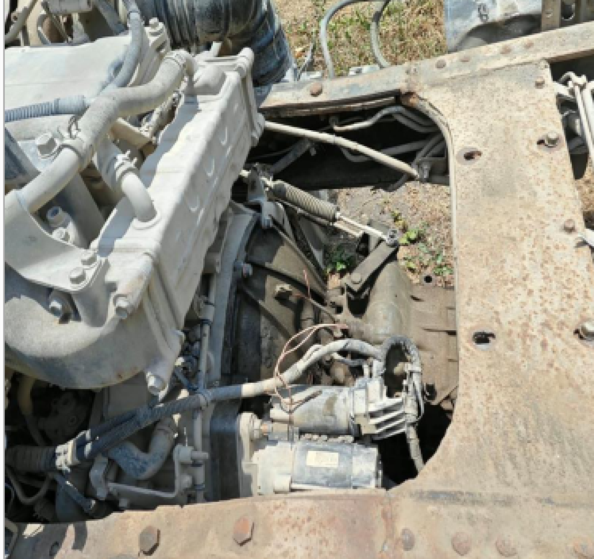 ISUZU  NMR 81U