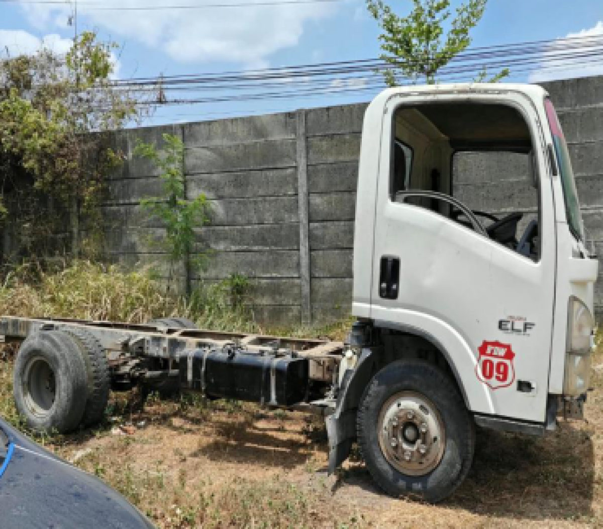 ISUZU  NMR 81U
